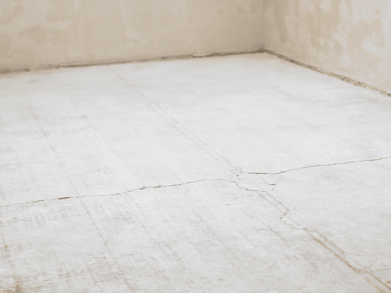 Cegwa-pathologie-chape-diagnostic-solutions